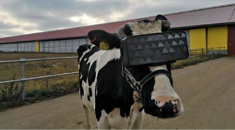 Cows with VR headsets min1 | Techlog.gr - Χρήσιμα νέα τεχνολογίας