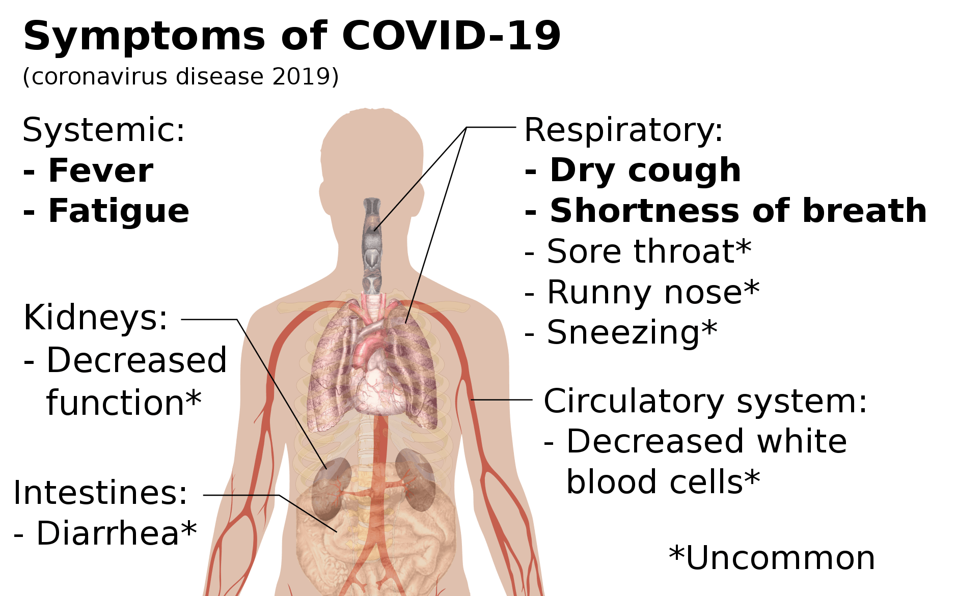 Symptoms of coronavirus disease 20191 | Techlog.gr - Χρήσιμα νέα τεχνολογίας