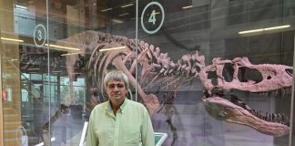 Οι επιστήμονες ανακάλυψαν από τι ήταν φτιαγμένος ο αστεροειδής που εξαφάνισε τους δεινόσαυρους