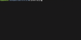 Συναγερμός στο Linux: Δύο ευπάθειες έμεναν κρυφές για 15 χρόνια και δίνουν πρόσβαση root